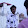 sai madhav