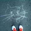 akka miau