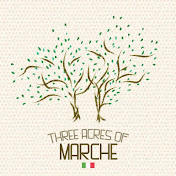 Three Acres Of Marche, Italy.