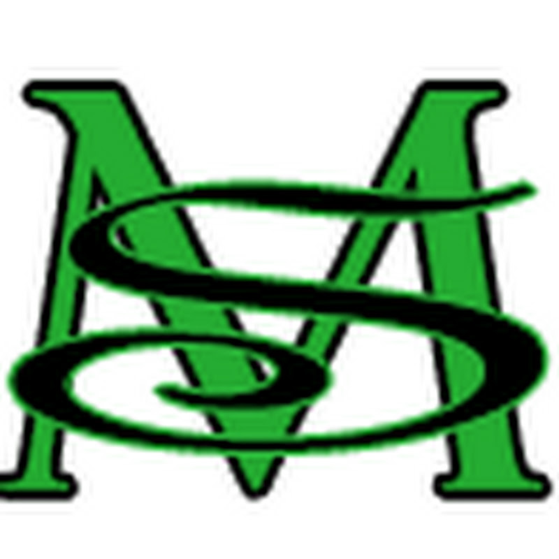 Money Secrets icon