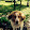 Dog video