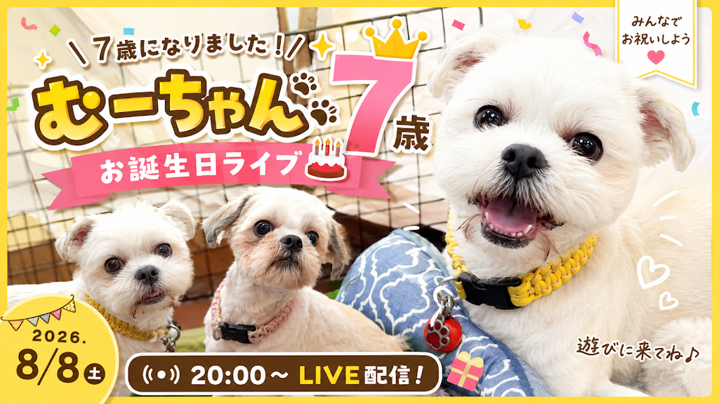 ☆わんこのむぎちゃん☆ Post from はなむぎちゃんねる【わんことキャンプ&お出かけVLOG