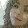 mary mosher