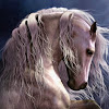 EquuSpirit
