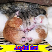 Joyful Cat
