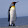 Penguin Boi