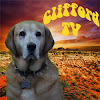 CliffordTV