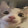 chip chewning
