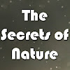 The Secrets of Nature