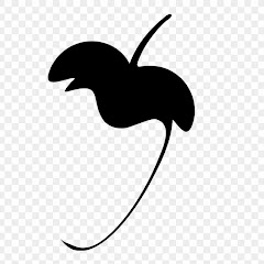 TÉLÉCHARGER BOIT RYTHME RAI FL STUDIO BOIT RYTHME FL STUDIO RAI TÉLÉCHARGER