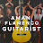 Aman (Flamenco Guitarist)