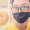 dogcom sg