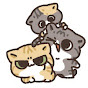 Ari는 고양이 내가 주인 Ari is cat I’m the ju-in