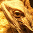 thegamingdovah