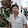 satya sudhir Sure