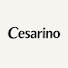 RAZk7IIIOsA-channel-avatar-CesaRino