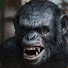 Mr. KOBA