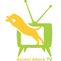 Animal Attack TV
