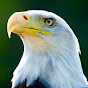 Adler King