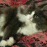 Фаина Морозова