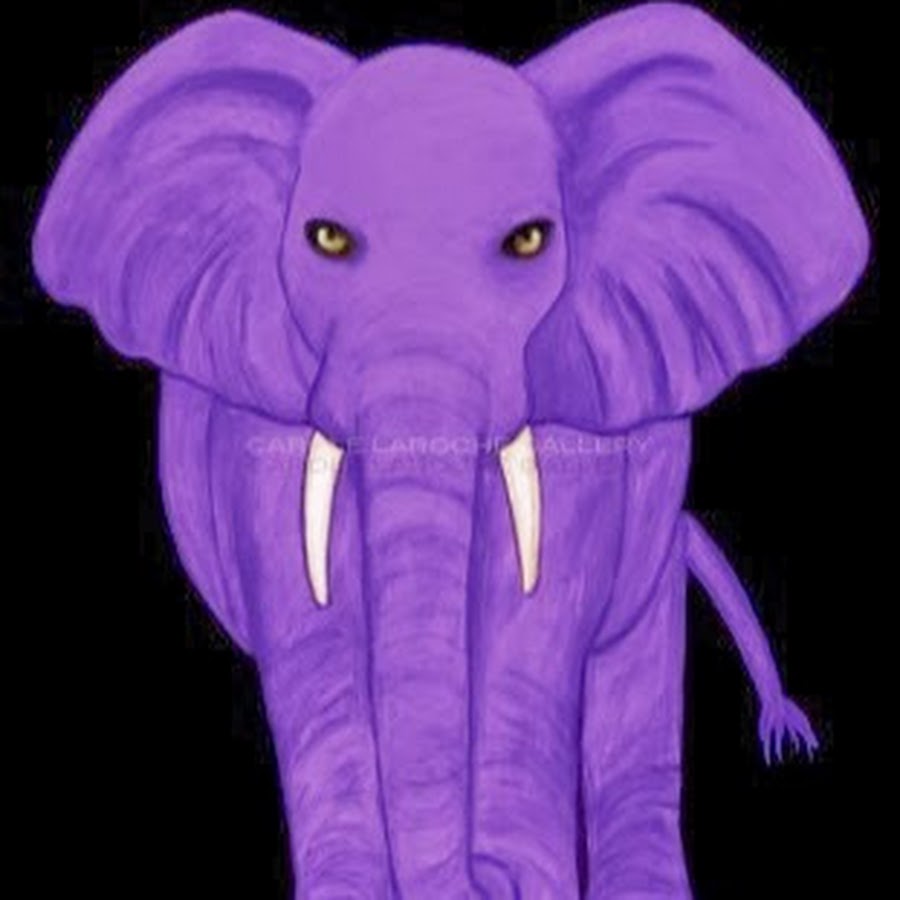 Purple Elephant YouTube