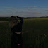 Лора Блогер