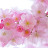 7 Trang Bright