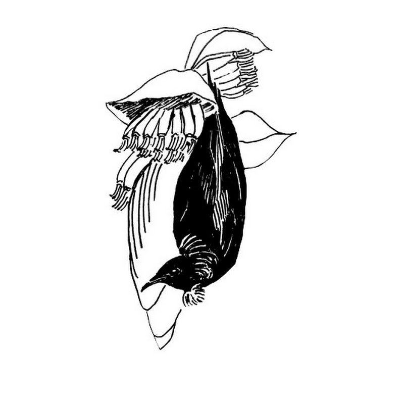 Channel Avatar