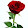 ורד חשמונאי
