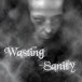 wastingsanity