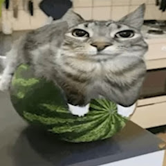 Echololeo