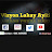 Vizyon Lakay Ayiti