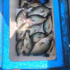 Nick N' Gabby's Fishing and Fun
