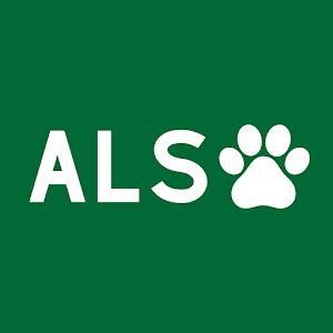 UCoFJTrXBGxaaL-fTGQdwB7Q YouTube channel image