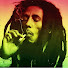 oVECX2ti6b8-channel-avatar-Jamaica Soul Garden