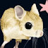 fRc9-o6f4ec-channel-avatar-SmolMouseClips