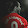Diego Giaccherini