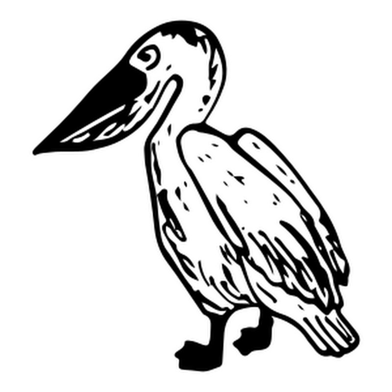 Pelican House Games