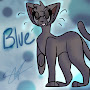 BlueKitty Cat
