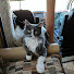 VyCES13Mc0k-channel-avatar-American Outback