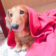 ぎんこーゆうちよ