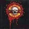 GunsNRosesDatabase