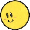 DS Channel