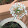 Still_Reflection 19