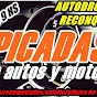 PicadasRacing logo