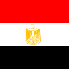 Egypt News