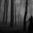 Danklen Wald