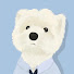 sJJQY3VJF0M-channel-avatar-Small_wildcat01