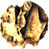 AtomontageEngine