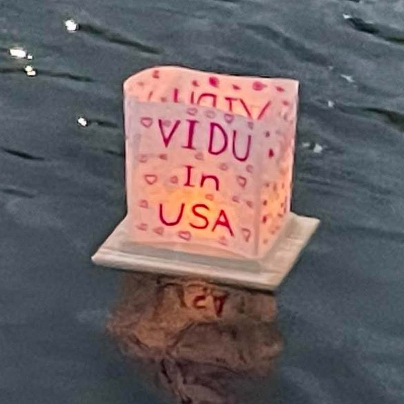 VIDU In USA